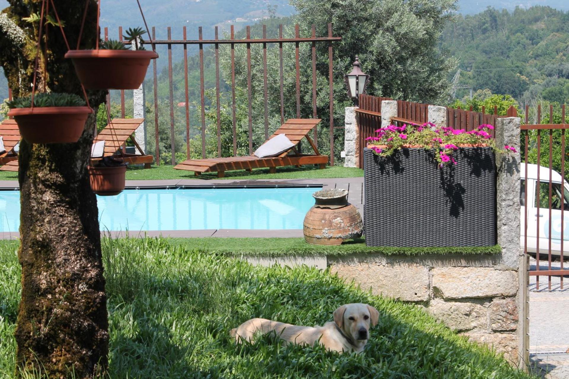 Quinta Da Mo Villa Terras de Bouro Dış mekan fotoğraf